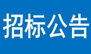 浮動碼頭采購項目競爭性談判公告